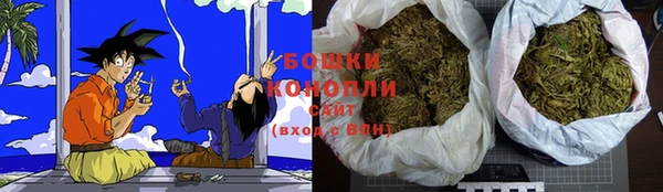 крисы Баксан