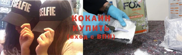крисы Баксан