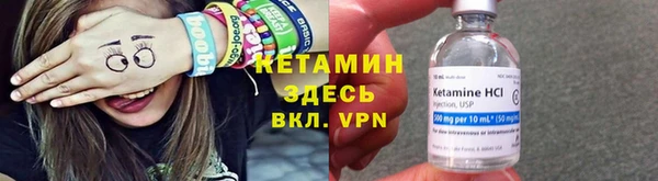 крисы Баксан