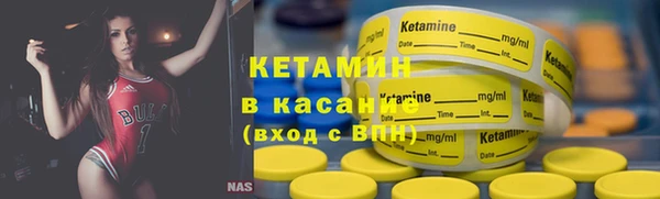 крисы Баксан