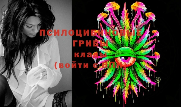 крисы Михайловск