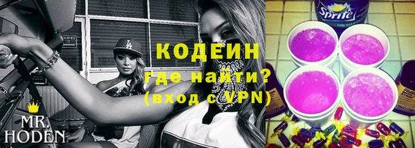 крисы Баксан