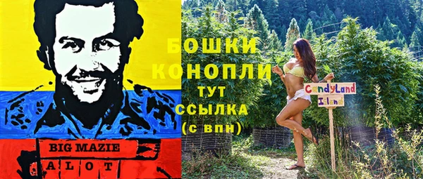 крисы Баксан