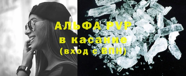 крисы Баксан