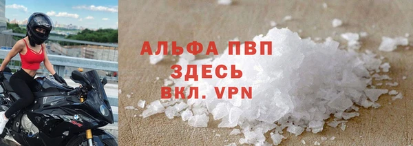 крисы Баксан